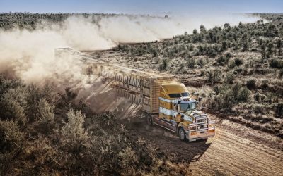 Driving in dust. Understanding the dangers.